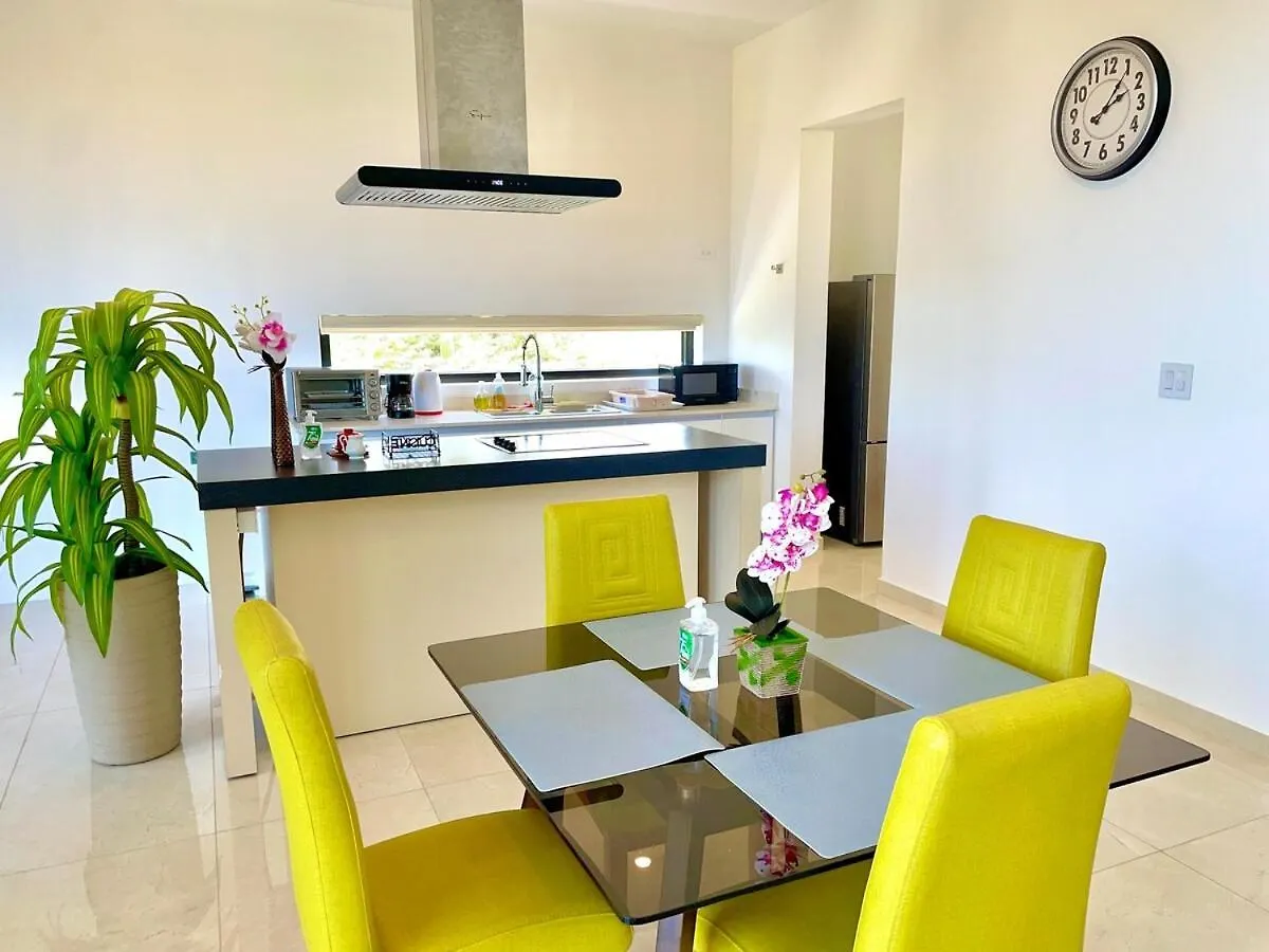 Birds Nest Apartment Noord